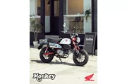 Z125 Monkey (photo 3)