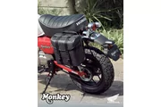 Z125 Monkey (photo 5)